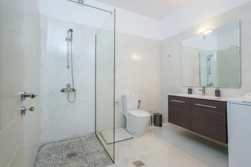a bathroom with a shower and a toilet and a sink at THOAS Residences in Moudhros