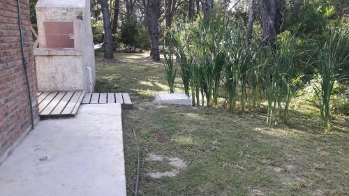 Jardín al aire libre en Los Superabuelos