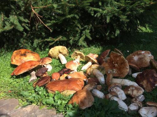 Κήπος έξω από το Eco Sadiba KasKad