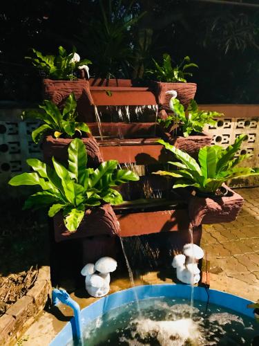 a water fountain with a bunch of plants at Winter House Chiang Rai in Chiang Rai