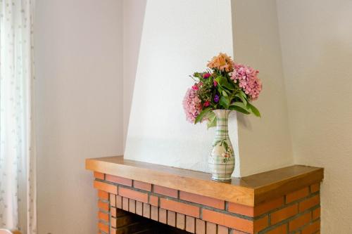 a vase of flowers sitting on top of a fireplace at aMatalasviñas in Piedralaves