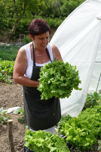 a woman holding a bunch of greens in a garden at Tourist farm Pri Andrejevih in Narin