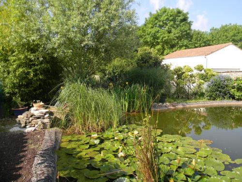 Naturlandschaft in der Nähe des Bed & Breakfasts