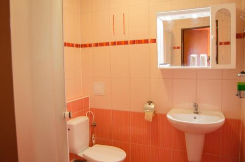 y baño con aseo y lavamanos. en Penzion Vinárna U Hroznu, en Veselí nad Moravou