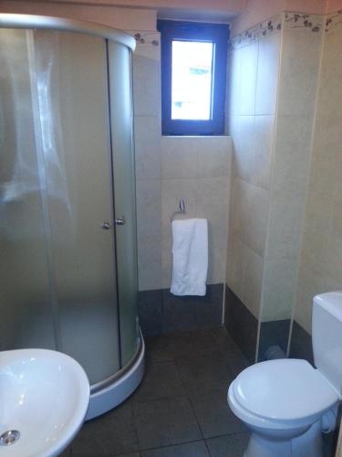 a bathroom with a shower and a toilet and a sink at Hanul Bran in Bran