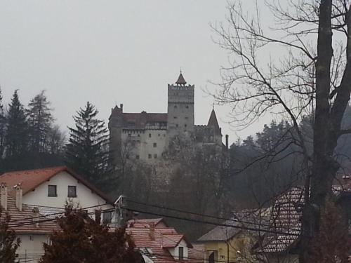 a castle sitting on top of a hill with houses at Hanul Bran in Bran