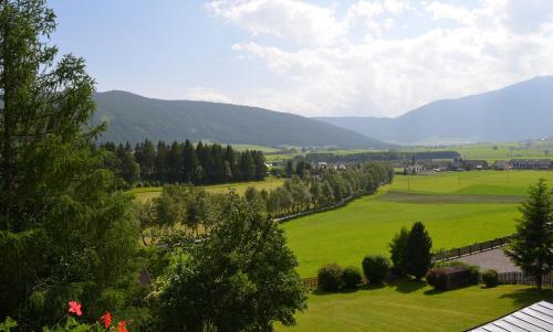a green field with trees and mountains in the background at Appartementhaus Novak in Mariapfarr