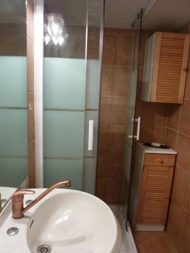 une salle de bain avec un lavabo et une douche dans l'établissement Gîte de Saint Cassien, à Montauroux