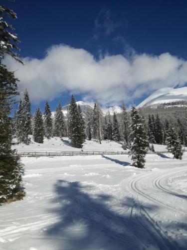a snow covered field with trees and a mountain at Appartementhaus Novak in Mariapfarr