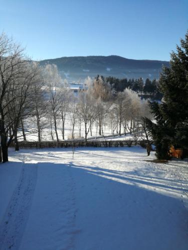 a snow covered field with trees and a fence at Appartementhaus Novak in Mariapfarr