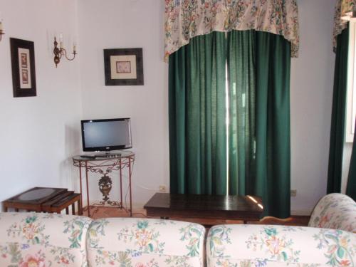 a living room with a couch and a television at Quinta da Serrana in Ourém