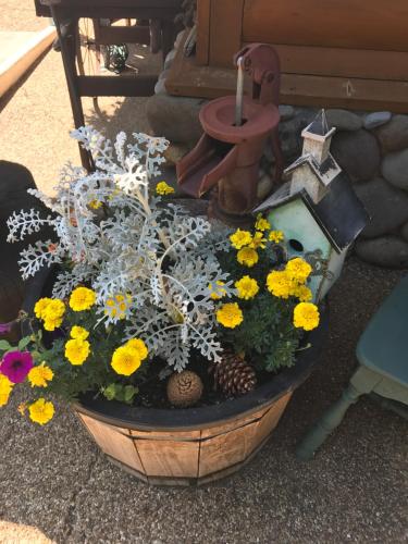 a potted plant with flowers and a bird bath at Fireside Lodge in South Lake Tahoe