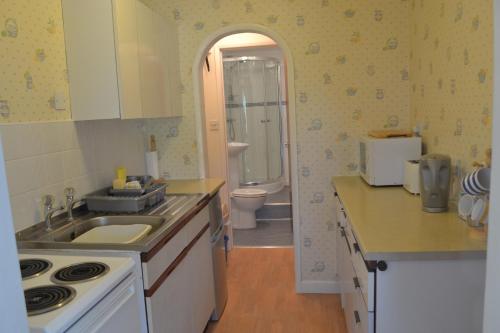 een keuken met een wastafel en een toilet in een kamer bij Appletree Bungalow in Torquay