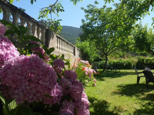 a garden with pink flowers in the grass at aMatalasviñas in Piedralaves
