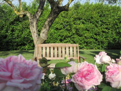 a wooden bench in front of a tree with pink roses at Casale Eredità in Orte