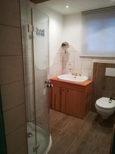 a bathroom with a shower and a sink and a toilet at Lindlhof Fam. Taferner in Sankt Andrä