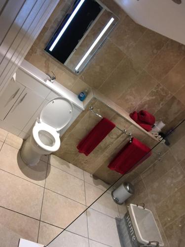 Ένα μπάνιο στο Brooklyn lodge