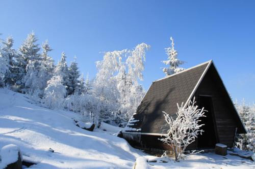 a cabin in the snow with snow covered trees at Pension Hotel Sartor in Kurort Altenberg