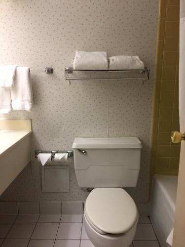 a bathroom with a toilet and a sink and a tub at Mystic River Hotel & Suites in Mystic