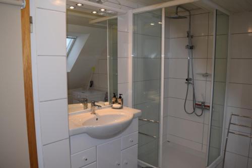 La salle de bains est pourvue d'un lavabo et d'une douche. dans l'établissement Outlet Fewo Metzingen, à Metzingen