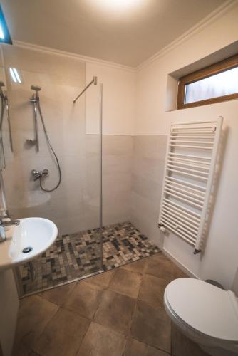 a bathroom with a shower and a toilet and a sink at Ferienwohnung am Aubach in Schwerin