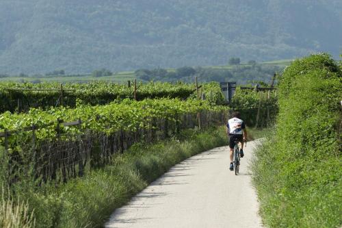 a person riding a bike down a dirt road at Biobauernhof St. Quirinus in Caldaro