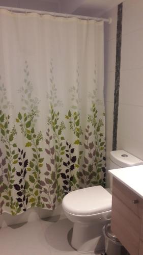 a bathroom with a toilet and a shower curtain at Pucón Andino, cómodo depto 3 dorm 2 baños in Pucón