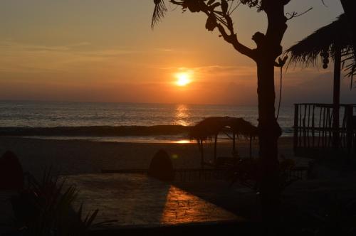 a sunset at the beach with a palm tree at Whitepearl Beach in Hikkaduwa