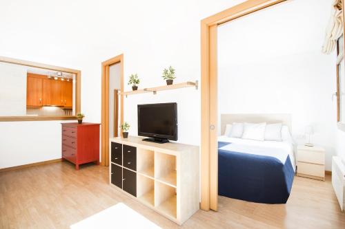a hotel room with a bed and a tv at Apartaments Les Terrasses del Tarter in El Tarter