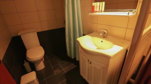 a bathroom with a sink and a toilet at Evia Dream in Agiokampos
