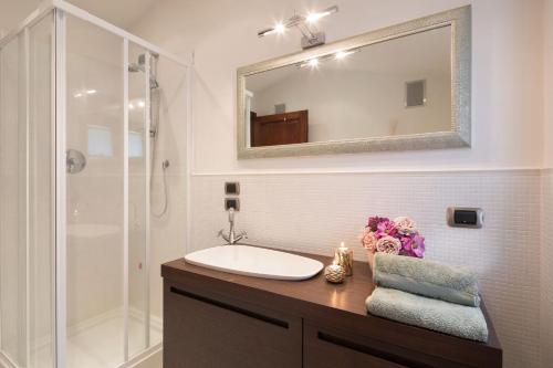 La salle de bains est pourvue d'un lavabo et d'une douche avec un miroir. dans l'établissement Poggio Pellicciaia, à Arezzo