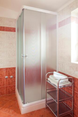 a shower with a glass door in a bathroom at Mon Perin Castrum - Rooms Dado in Bale