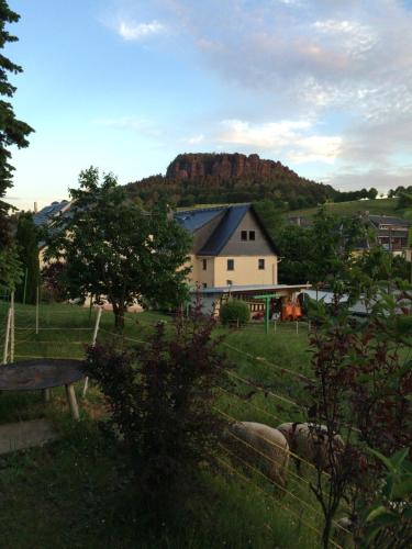 a house in a field with a mountain in the background at Gästehaus Jeremias in Königstein an der Elbe