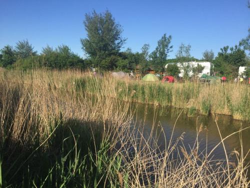Gambar di galeri bagi Bed and Breakfast De Zeehoeve di Harlingen