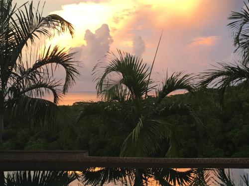 a view of the sunset from a resort with palm trees at Luxury Villa sleeps 6, Beach Access, Montego Bay in Montego Bay
