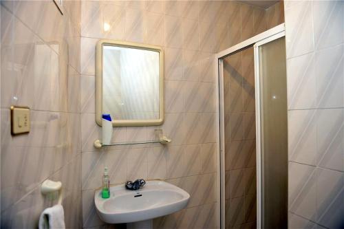 a bathroom with a sink and a mirror and a shower at Pensión Ariz in Basauri