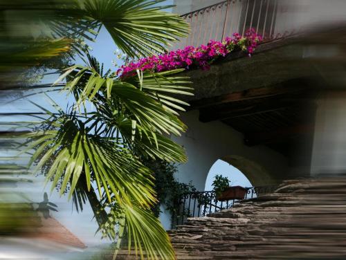 Jardín al aire libre en Affittacamere Casa Archi