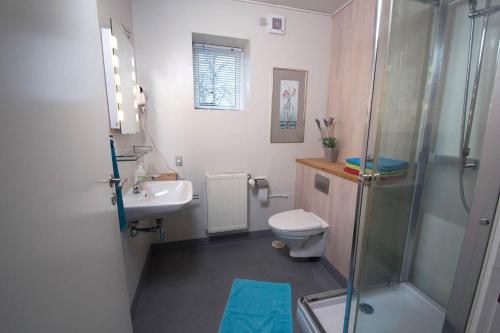 a bathroom with a shower and a toilet and a sink at Hotel Lolland in Nørreballe