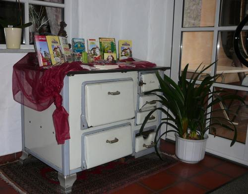 an old cabinet with books on it with a plant at Zum Ochsen in Hauenstein