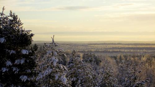 a view from the top of a hill with snow covered trees at Hotel Julie in Joensuu