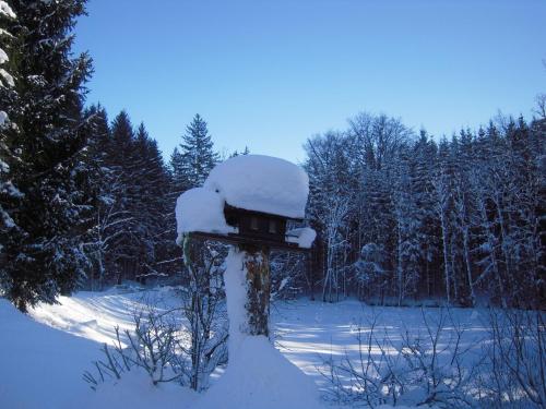 a bird house covered in snow in a forest at Pension Nocksteinblick in Salzburg