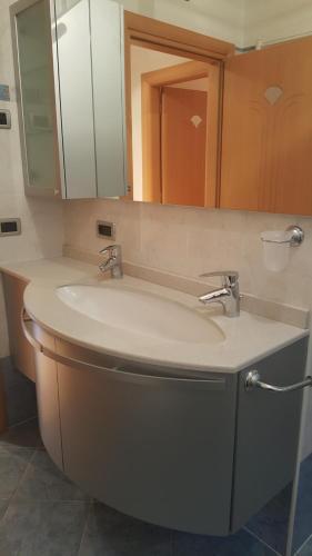 a bathroom with a sink and a mirror at Casa Bedovina in Predazzo