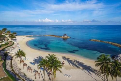 an aerial view of a beach with palm trees and the ocean at Luxury Villa sleeps 6, Beach Access, Montego Bay in Montego Bay