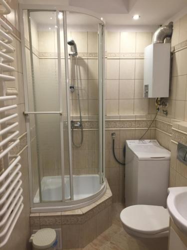 Phòng tắm tại Apartment Oświęcim klimatyzowany