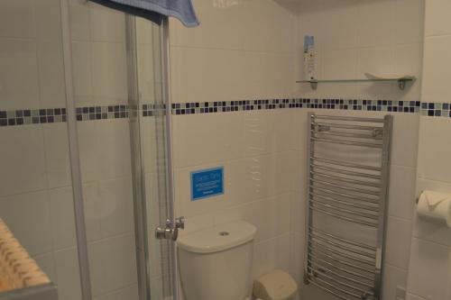 a bathroom with a toilet and a glass shower at Ashbury Tor in Torquay