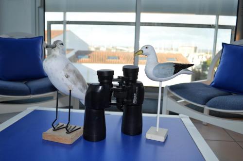 two birds standing on a table with a camera at Hotel Bord A Bord in Noirmoutier-en-l'lle
