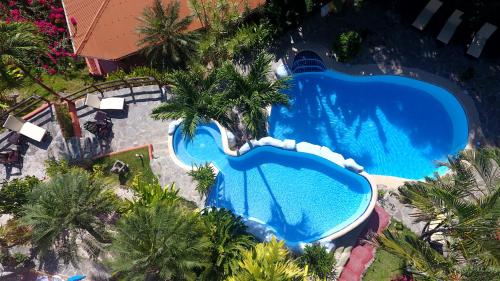 una vista aérea de una piscina con palmeras en Hotel El Jardin, en Montezuma