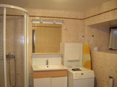 ein kleines Bad mit einem Waschbecken und einem WC in der Unterkunft le monne (dit la fermette ) in Chambon-sur-Lac