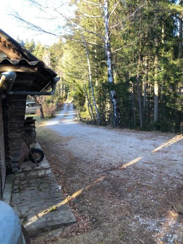a house with a driveway next to a road with trees at Ferienhaus im Wald in Edelschrott