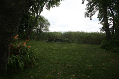 a park bench sitting in the middle of a field at Beta Home Sapanca in Sapanca